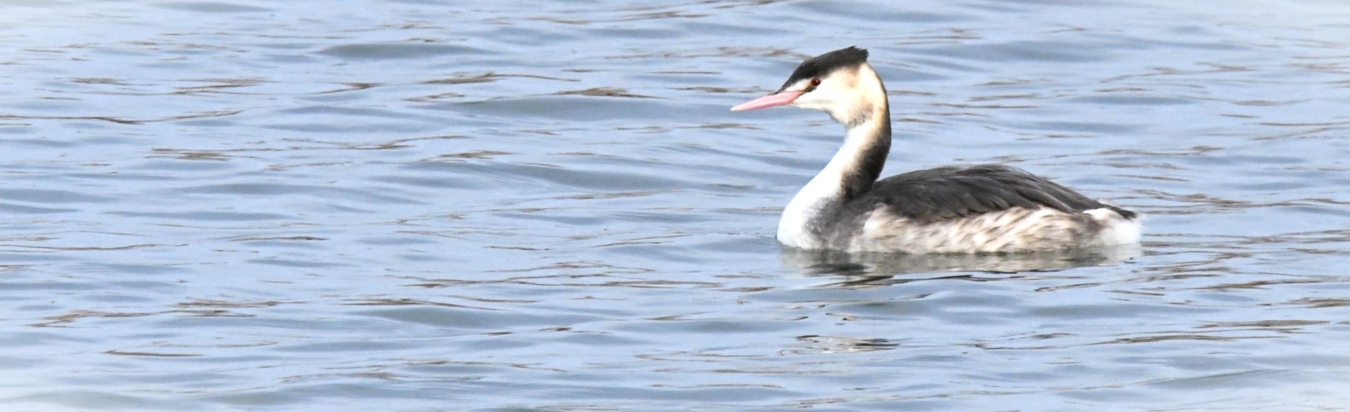 VAoލsL@쌧s̃q@2022/12/25