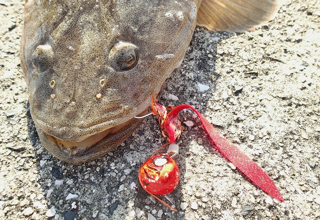 マゴリ57cmとビンビン玉45g