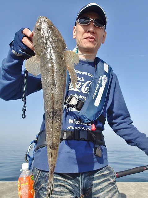 福神さんのマゴチ