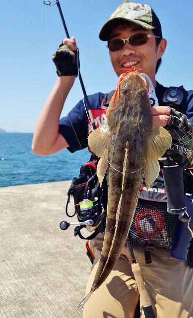 レッカーさんのマゴチ