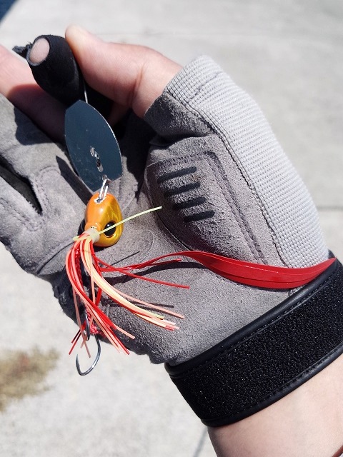 チャタータイラバ