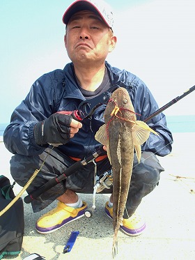 ヤスさんのマゴチ