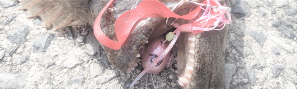 VAoލsL@쌧s̃q 2016/4/9