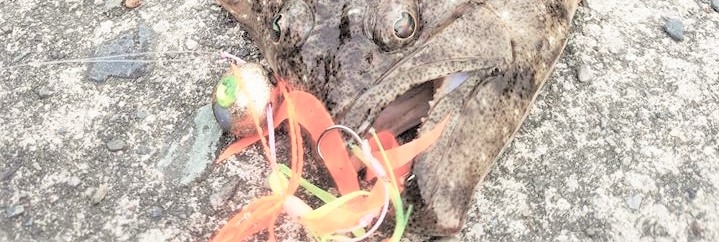 VAoލsL@mms̃q@2016/5/15