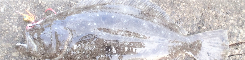 VAoލsL@쌧os̃q@2016/7/16