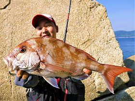 さだぼうさんのマダイ