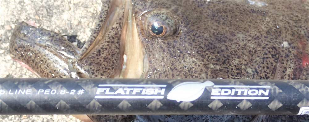 VAoލsL@쌧s̃q@2017/4/2