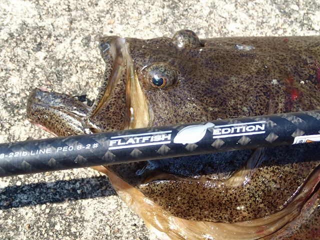 ショアラバ用ロッド