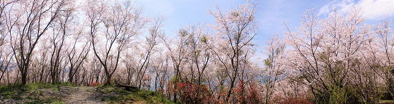 VAoލsL@mhюs̃qE}S`@2017/4/9