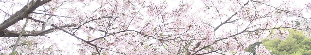 VAoލsL@쌧os̃}_C@2017/4/15