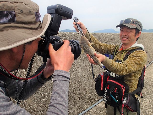 あかひれさんのマゴチ