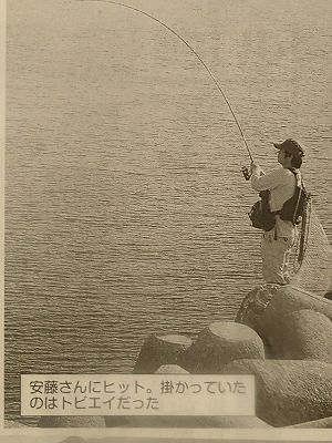 エイとファイト中のあかひれさんの記事