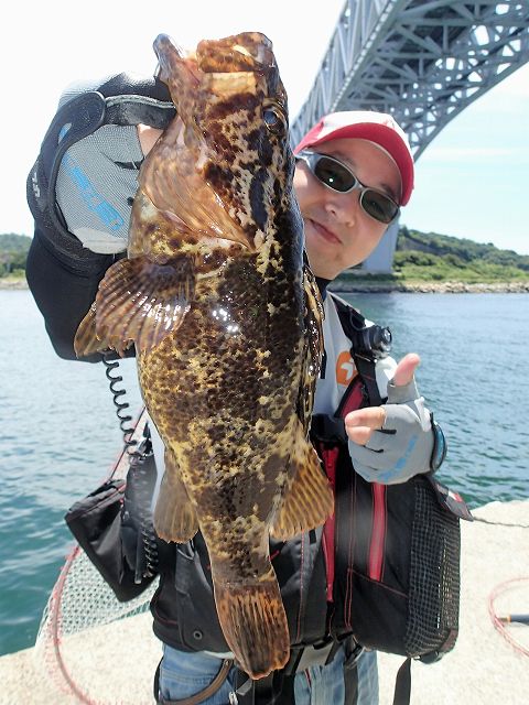 タケノコメバル