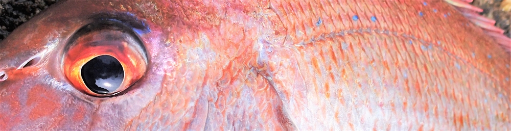 VAoލsL@쌧os̃}_C@2018/7/21