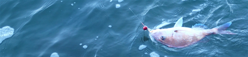 VAoލsL@쌧os̃}_CEtO@2017/7/16