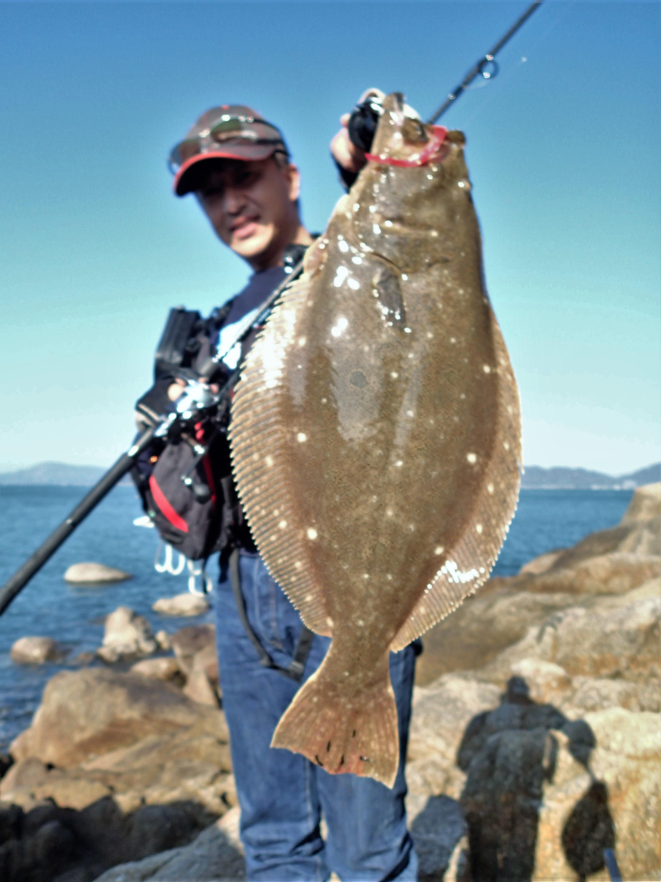 前プラのヒラメ