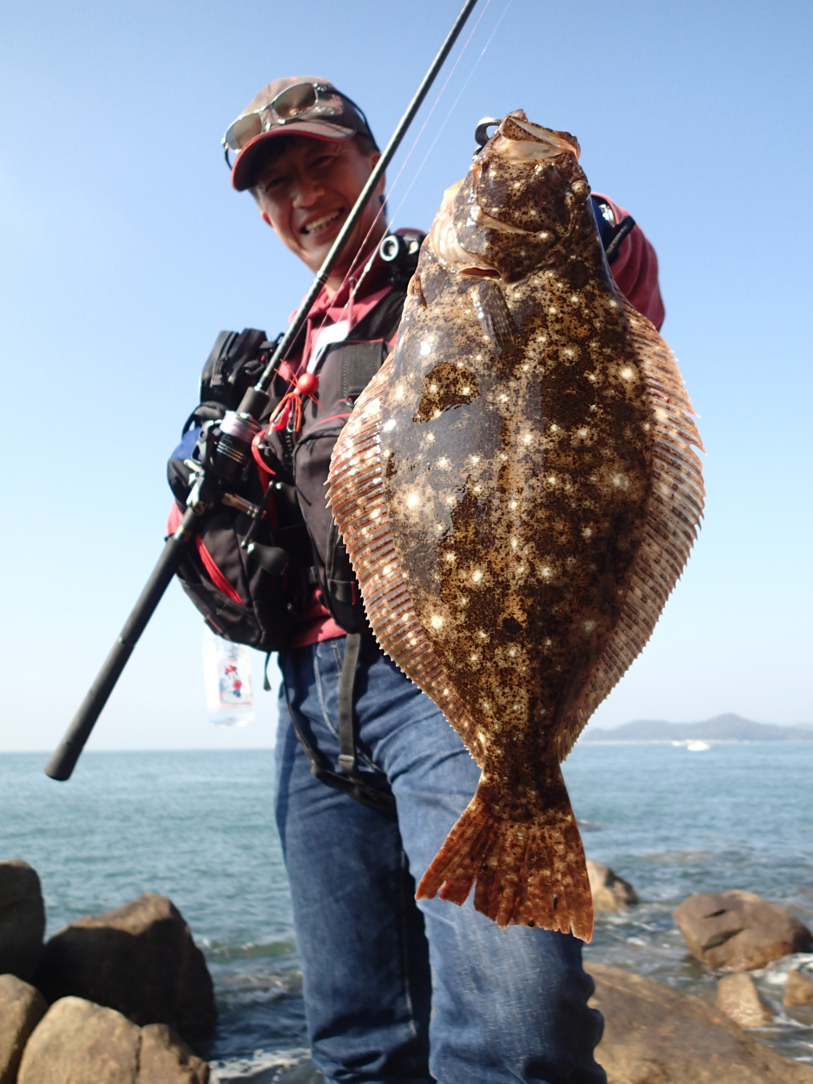 左向きのカレイ