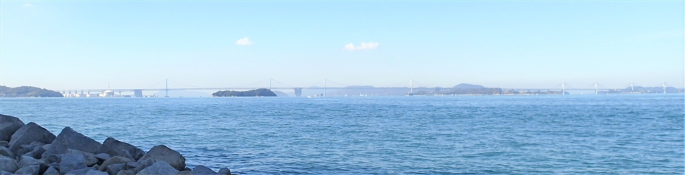 マダイポイント