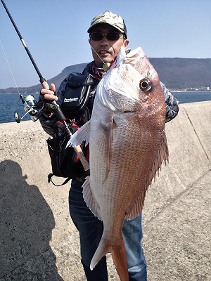 レッカーさんマダイ