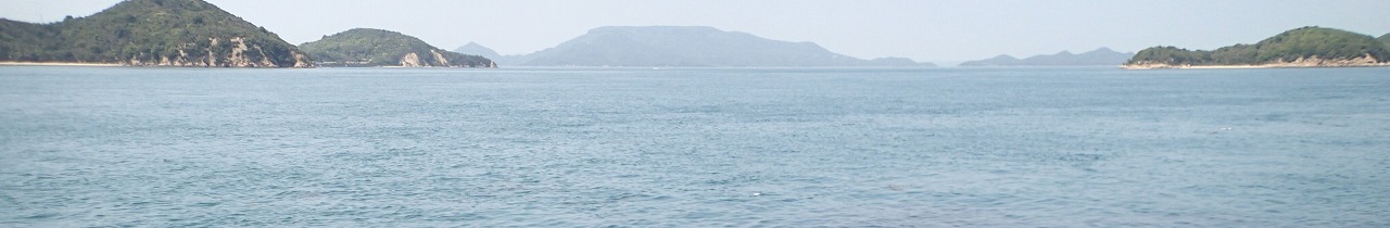 VAoލsL@쌧s̃}_C@2019/5/2