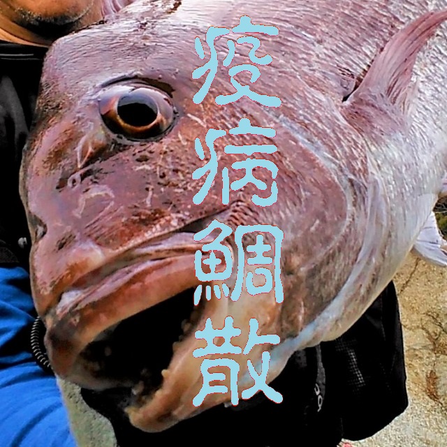 疫病鯛散アマビエチャレンジ