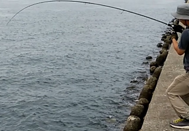 さだぼうファイト