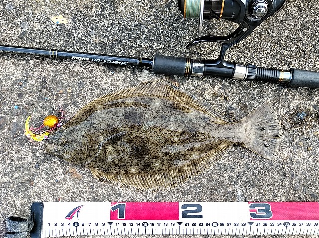 ソゲとメジャー