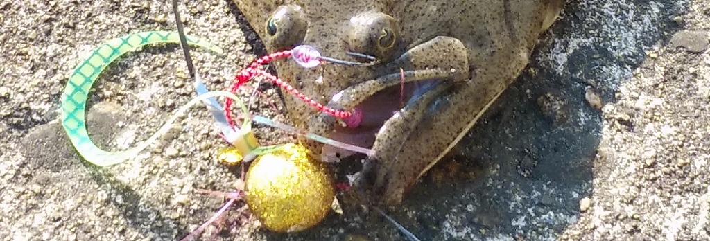 VAoލsL@쌧s̃q@2022/1/9