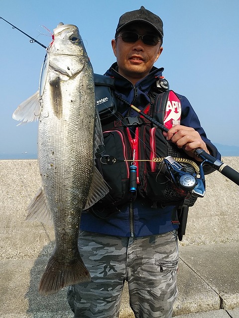 レッカーさんとシーバス