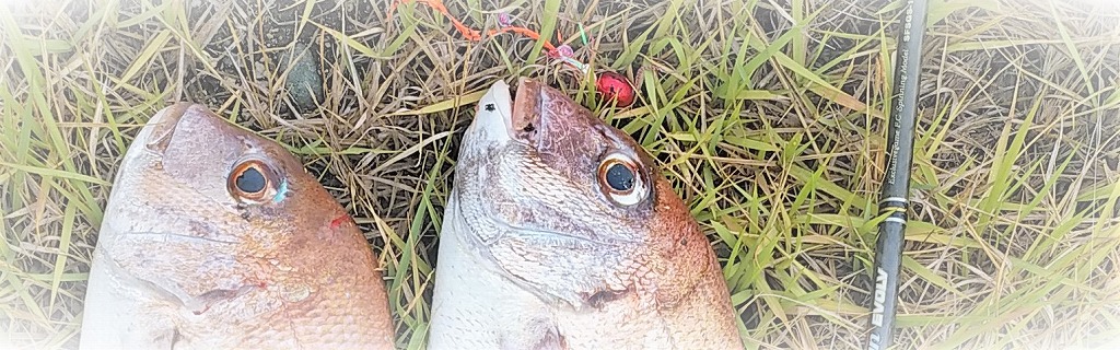 VAoލsL@쌧os̃}_C@2022/7/10