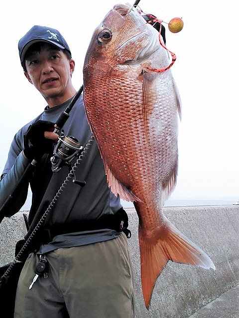 マダイ45cmブツ持ち