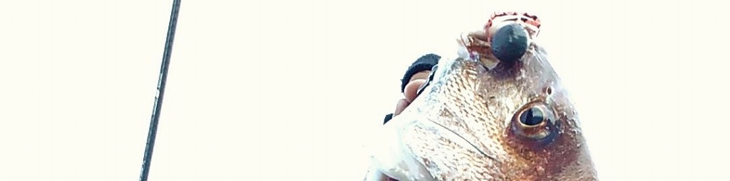 VAoލsL@쌧os̃}_C@2022/8/6