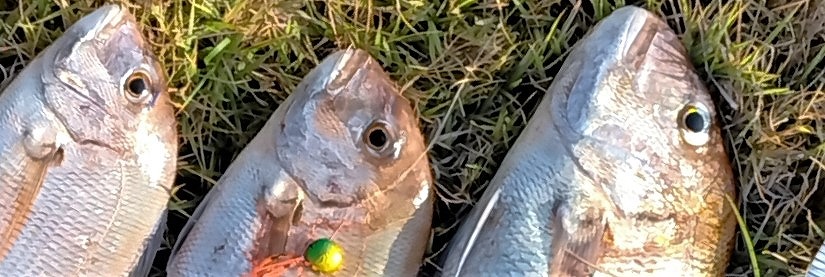 VAoލsL@쌧os̃}_C@2022/8/7