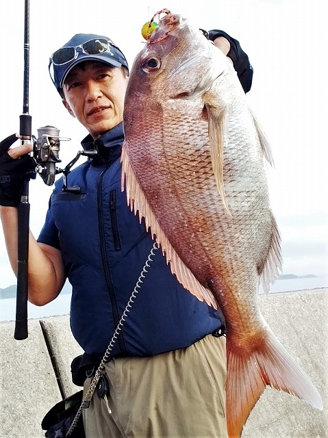 マダイ42cmブツ持ち