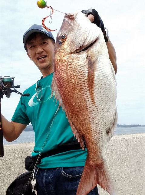 マダイ50cmブツ持ち