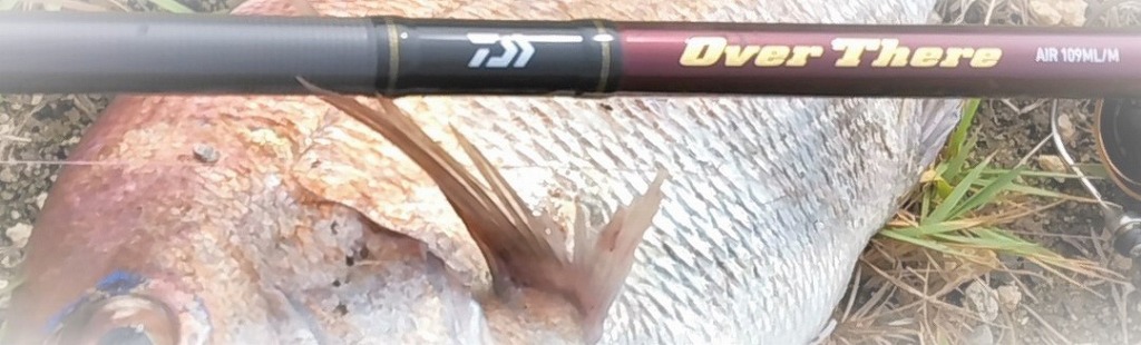 VAoލsL@쌧os̃}_C@2022/9/25