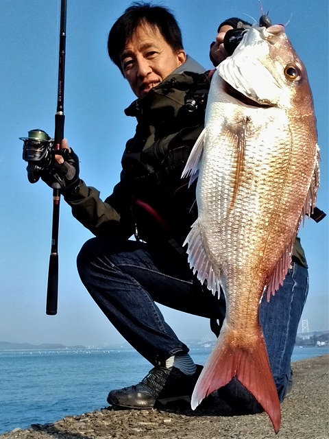 マダイ50cmブツ持ち写真