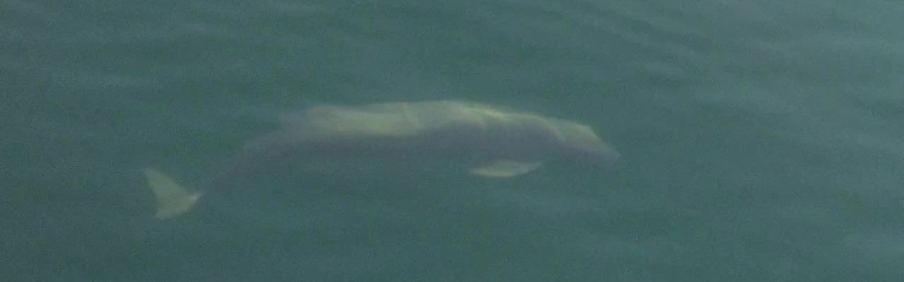 VAoލsL@쌧os̃q@2022/12/27