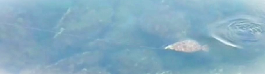 VAoލsL@쌧os̃q@2022/12/31