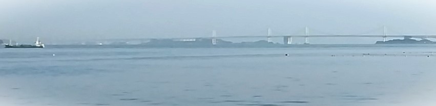 VAoލsL@쌧ۋTs̃q@2023/1/9