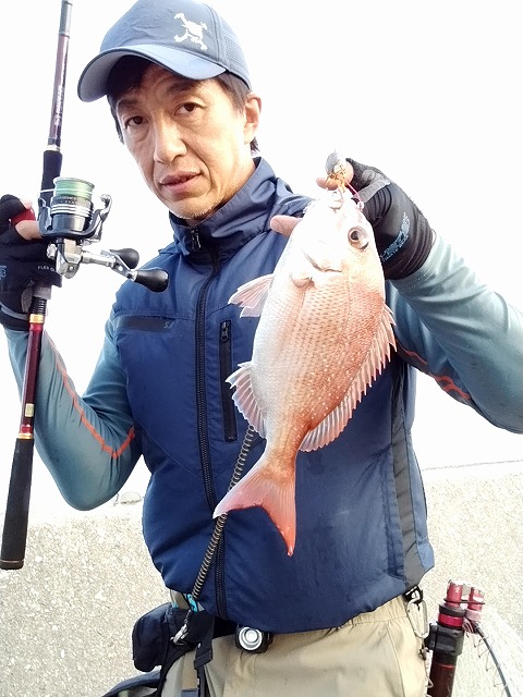 チャリコ(小型マダイ)