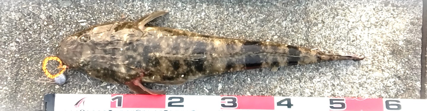 VAoލsL@쌧os̃}S`@2023/7/27