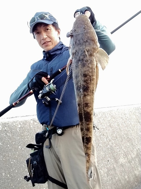 マゴチ55cm
