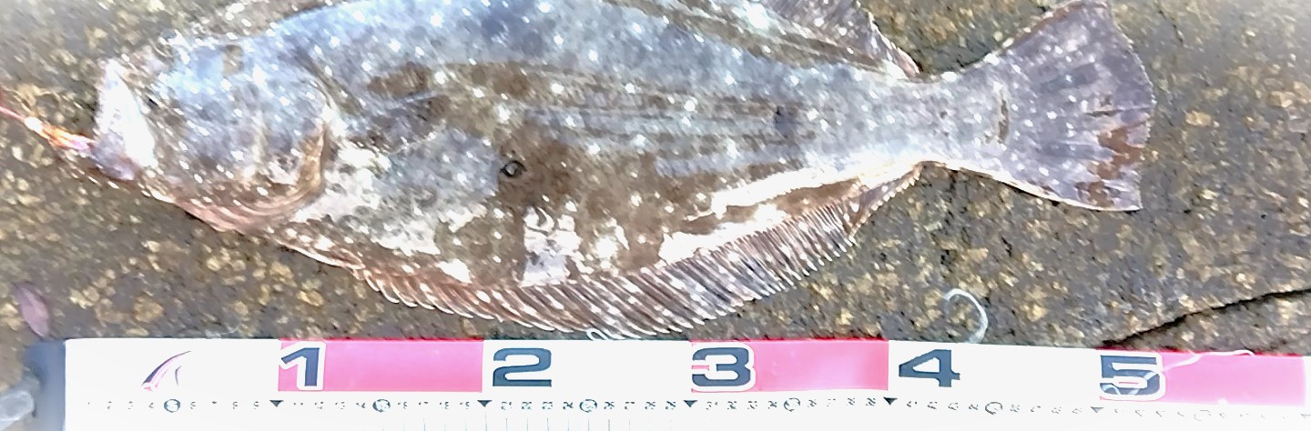 VAoލsL@쌧os̃q@2023/8/1