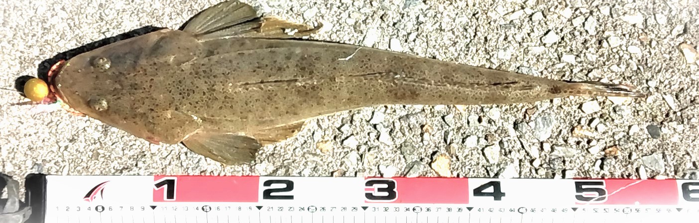 VAoލsL@쌧os̃}S`@2023/10/30