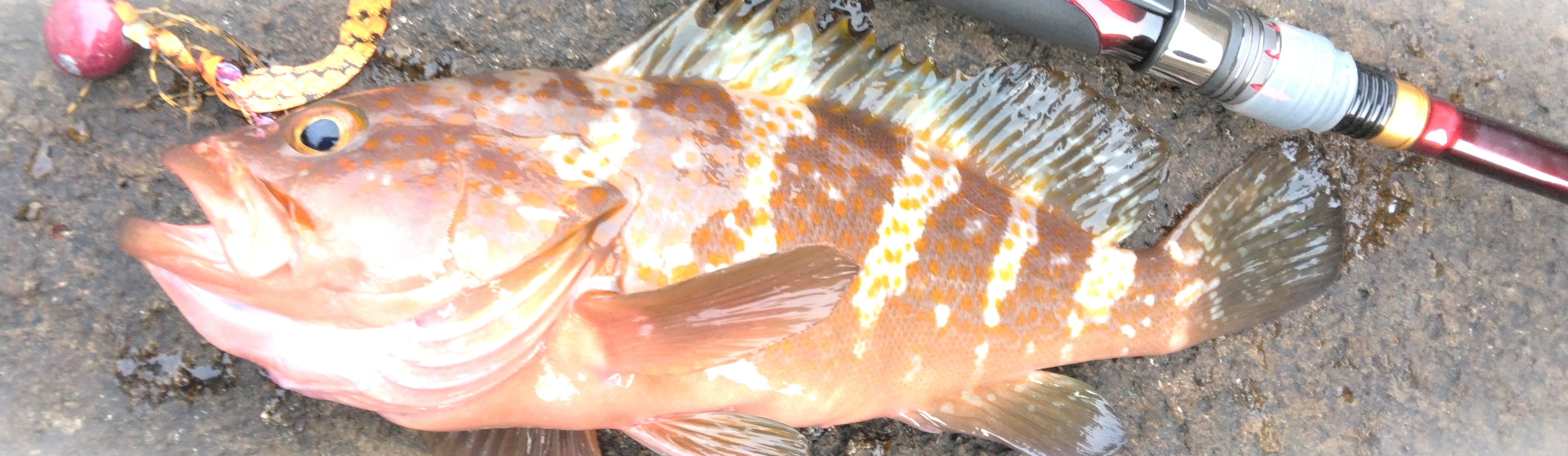 VAoލsL@쌧os̃ARE@2024/4/20