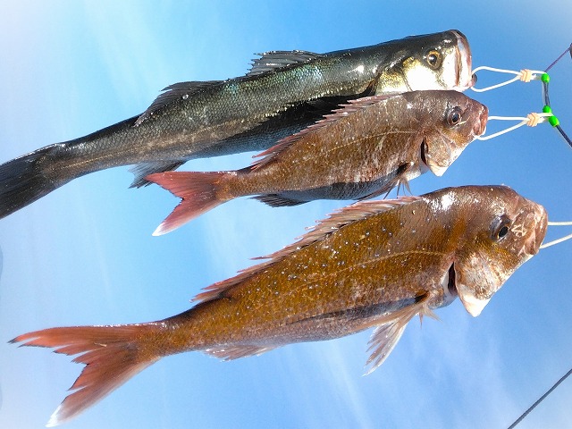 XgK[ɂȂ^C2CƃXYL1C