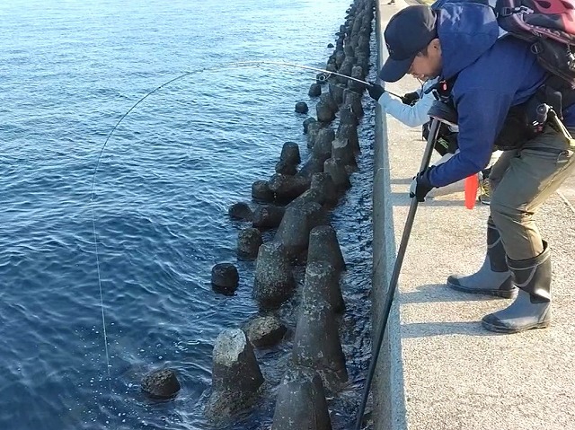 玉網を伸ばすレッカーさん