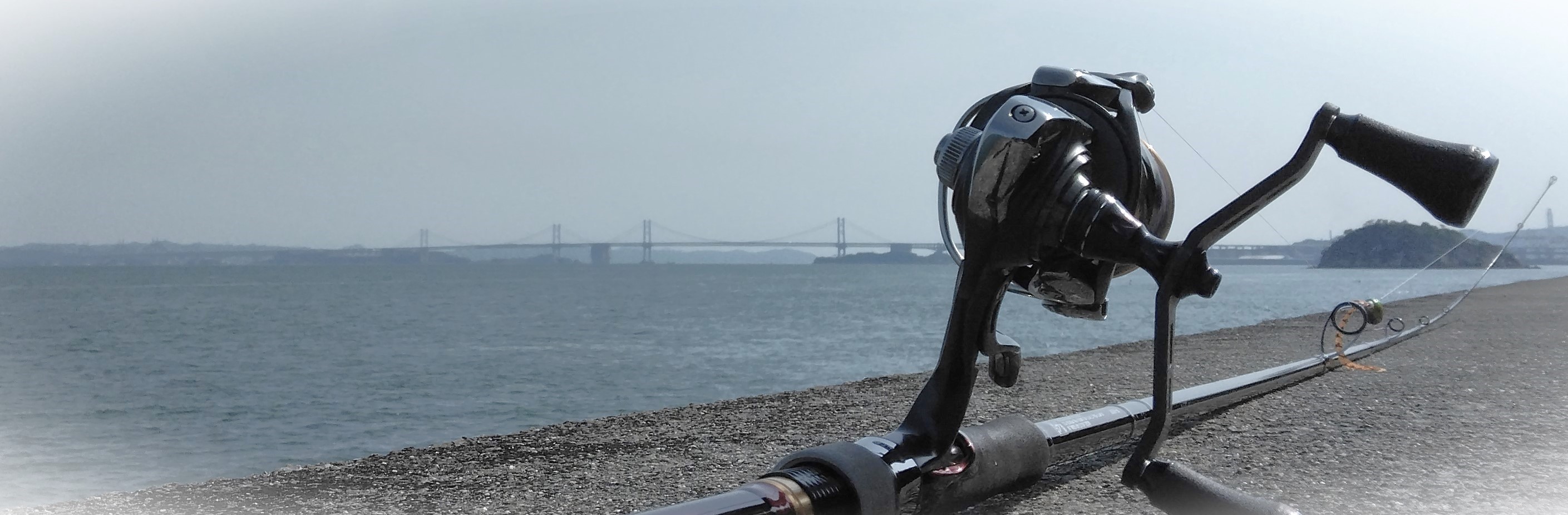 VAoލsL@쌧ۋTs̃}S`@2024/5/26