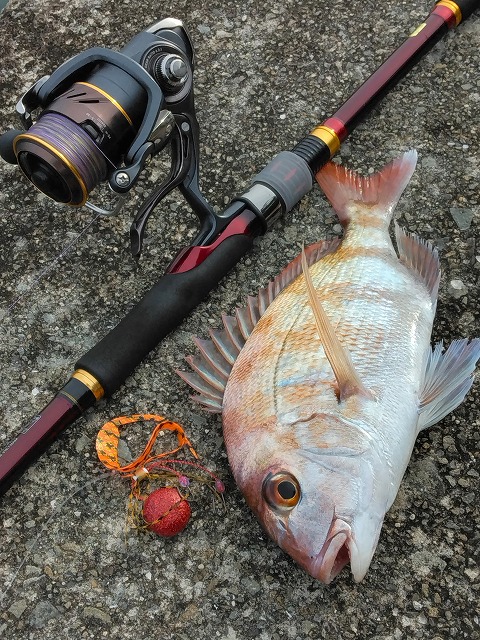 マダイとタイラバ